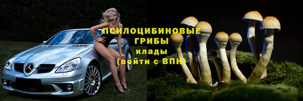 дмт Алексин