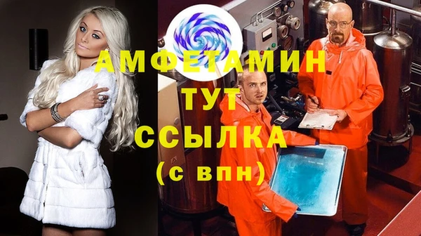 дмт Алексин