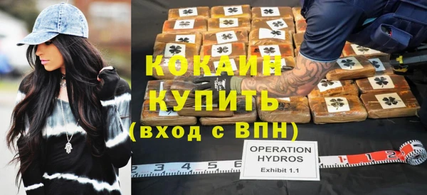 дмт Алексин