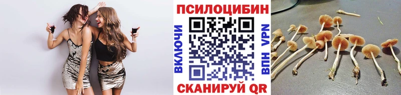 Галлюциногенные грибы MAGIC MUSHROOMS  купить наркотики сайты  Куйбышев 