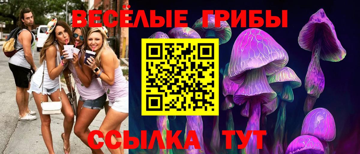 наркотики  Вход с VPN  Куйбышев  Галлюциногенные грибы ЛСД  Псилоцибиновые грибы Psilocybe 