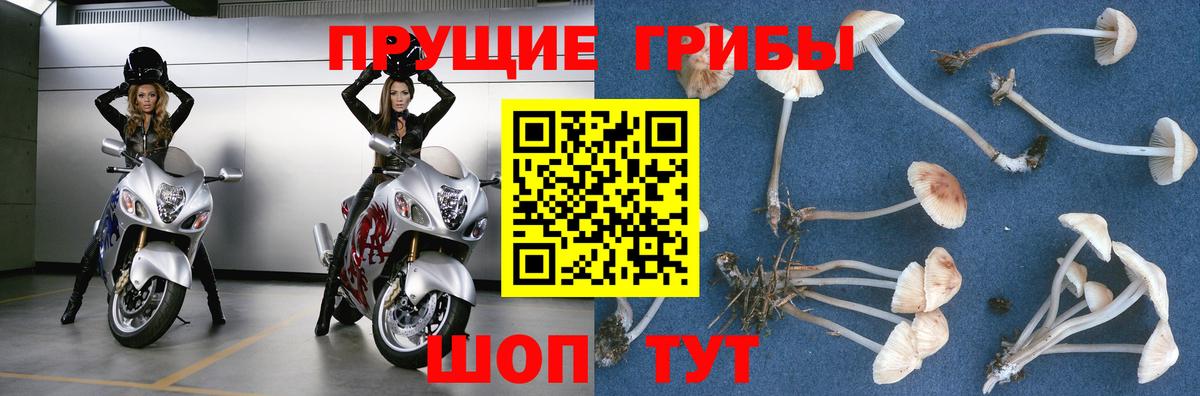 Метадон Куйбышев