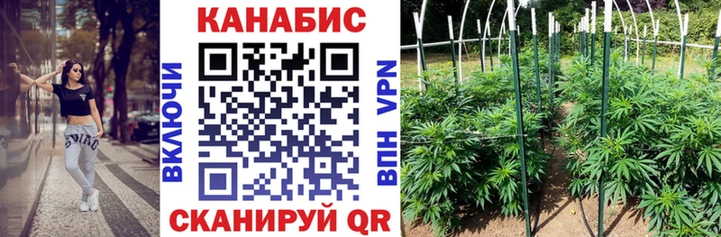 KRAKEN ONION  Куйбышев  Каннабис OG Kush 